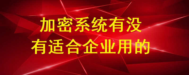 加密系統(tǒng)有沒有適合企業(yè)用的？