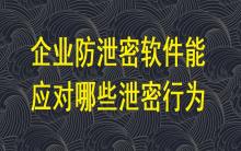 企業(yè)防泄密軟件能應(yīng)對(duì)哪些泄密行為？